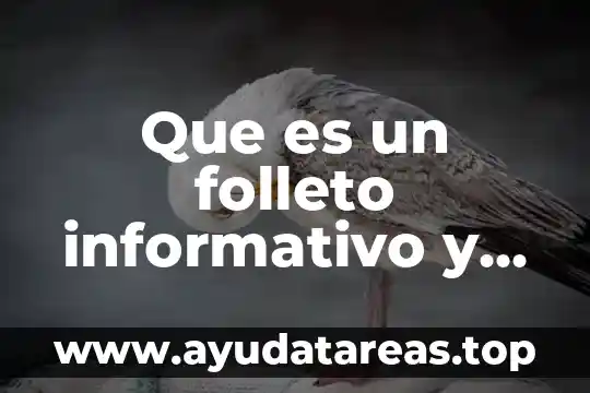 Que es un folleto informativo y para que sirve