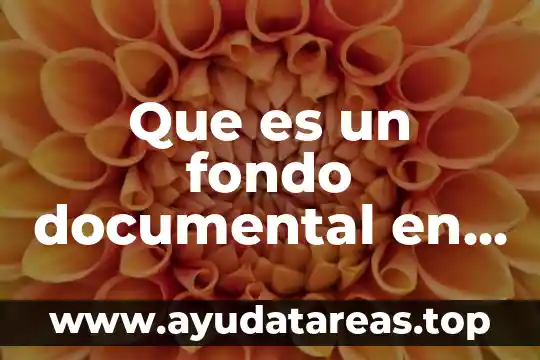 Qué es cadena de custodia definición 6 Que es un fondo documental en custodia