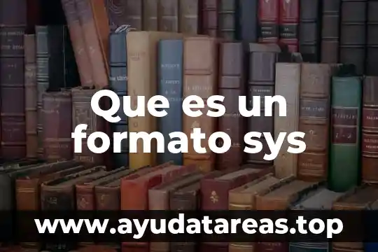 Que es el formato de texto enriquecido 4 Que es un formato sys