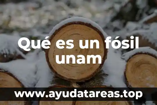 Qué es un fósil unam
