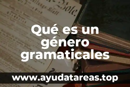 Que es genero y genero terrorista 6 Qué es un género gramaticales