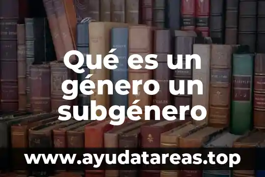 Que es la segregacion de genero 4 Qué es un género un subgénero