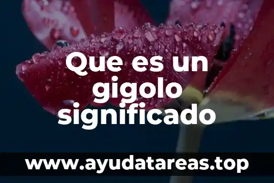 Que es el cirio pascual y su significado 3 Que es un gigolo significado