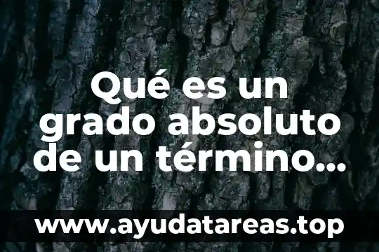 Qué es un término algebraico definición 6 Qué es un grado absoluto de un término algebraico