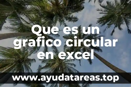 Diseñador gráfico que es 8 Que es un grafico circular en excel