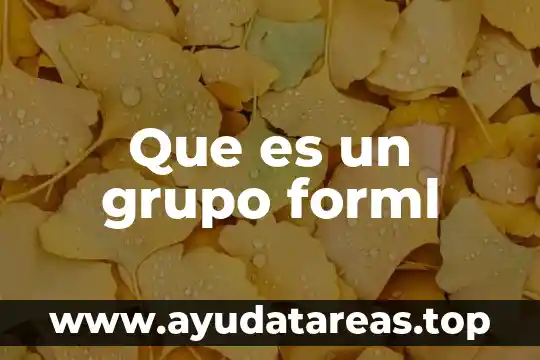 Que es un grupo forml