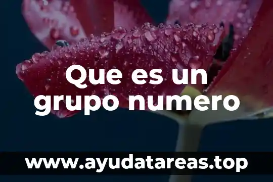 Qué es número de identificación fonacotr 6 Que es un grupo numero