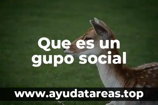 Que es nombre o razon social bibiojuridicas 3 Que es un gupo social