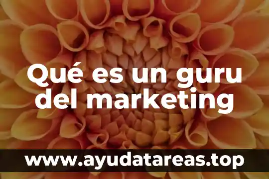 Que es dash marketing 7 Qué es un guru del marketing