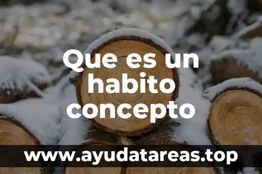 Que es un habito concepto