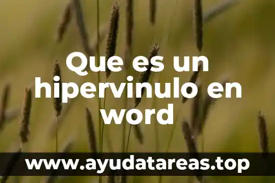 Que es nombre word 6 Que es un hipervinulo en word