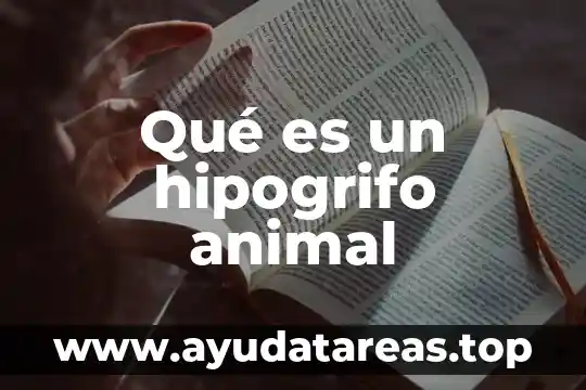 Animal cuts que es 4 Qué es un hipogrifo animal