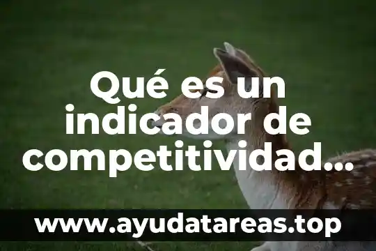 Qué es un indicador de competitividad definición