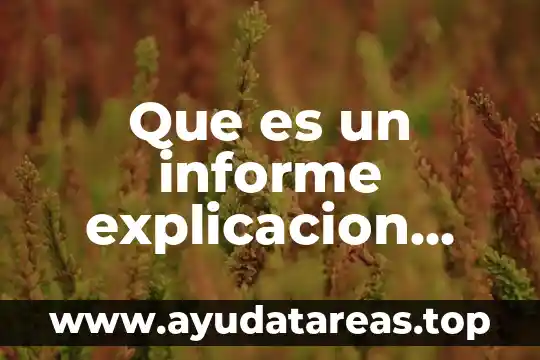Que es un terrario explicacion para niños de primaria 4 Que es un informe explicacion sencilla