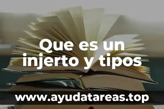 Que es un espira tipos 7 Que es un injerto y tipos