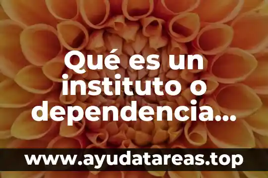 Qué es un instituto o dependencia gubernamental ejemplos