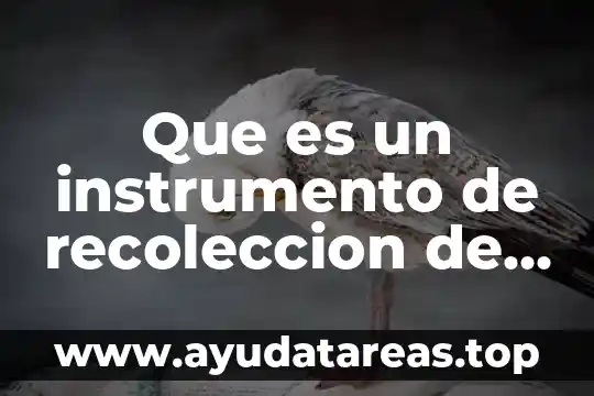 Que es la recoleccion de datos cuantitativos 4 Que es un instrumento de recoleccion de informacion