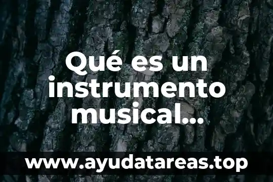 Qué es un instrumento musical salteno