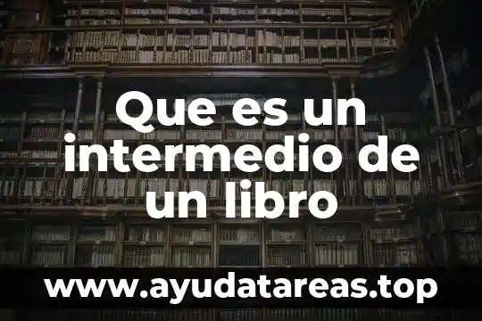 Que es la existencia libro 4 Que es un intermedio de un libro