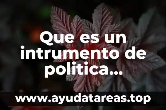 Que es el limite de estudio en la tesis 8 Que es un intrumento de politica ambiental