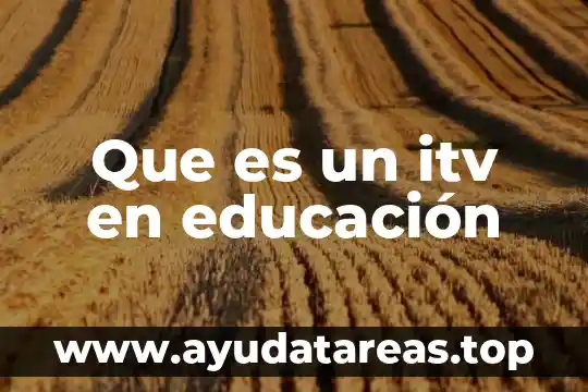 Que es un itv en educación