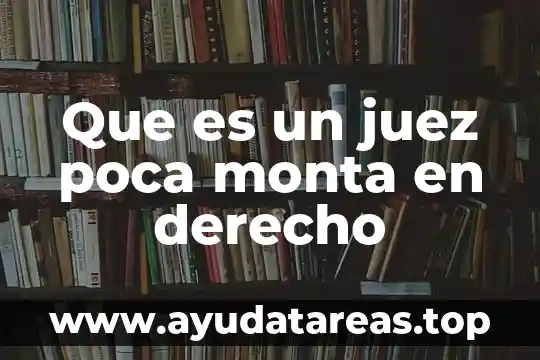 Que es un juez poca monta en derecho