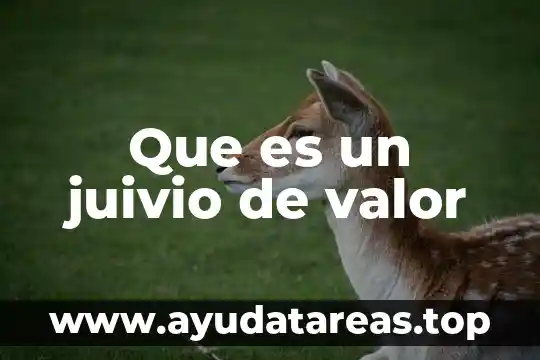 Que es isomeria y sus tipos 8 Que es un juivio de valor
