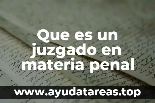 Que es un juzgado en materia penal