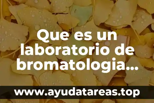 Que es la fotografía animal y de mascotas 6 Que es un laboratorio de bromatologia animal