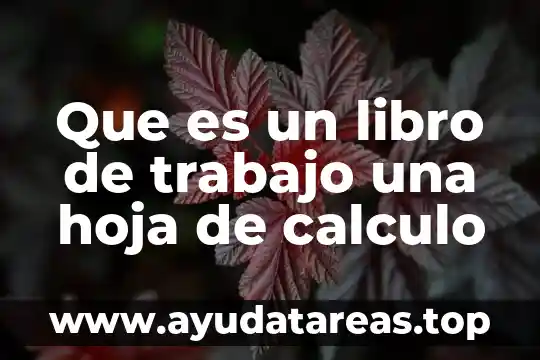 Que es hoja de planta 7 Que es un libro de trabajo una hoja de calculo