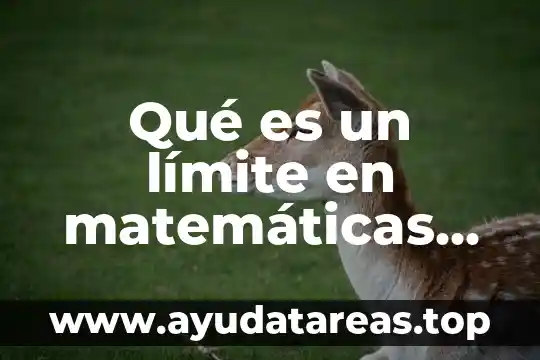 Qué es un límite en matemáticas ejemplo