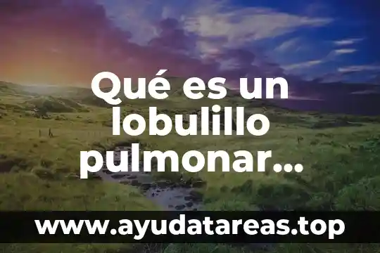 Volumen estático pulmonar que es 5 Qué es un lobulillo pulmonar Yahoo