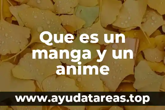 Que es un manga y un anime