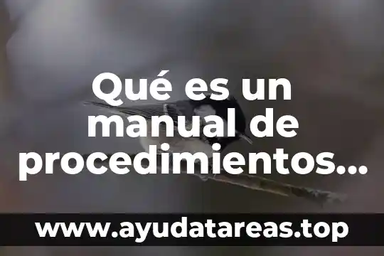 Que es un documental y tipos 5 Qué es un manual de procedimientos de la gestión documental