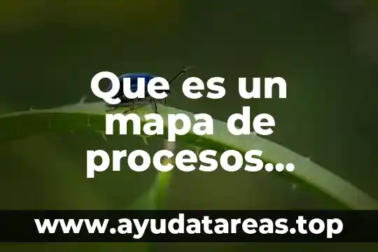Que es un mapa de procesos según autores