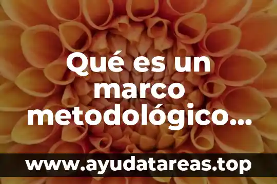 Qué es un marco metodológico de una investigación ejemplo