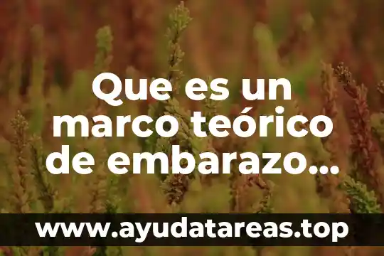 Que es sociedad en el marco legal 6 Que es un marco teórico de embarazo en adolescentes