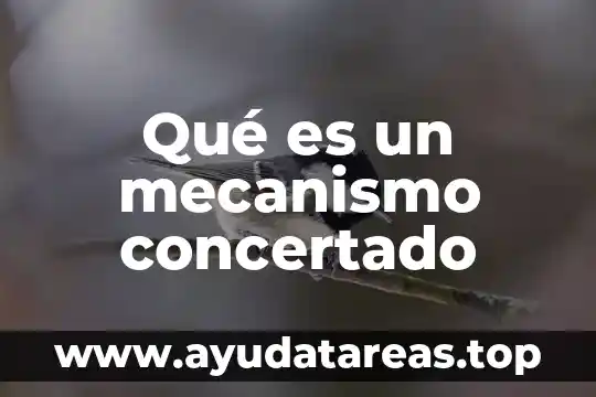 Que es el mecanismo la idea 4 Qué es un mecanismo concertado
