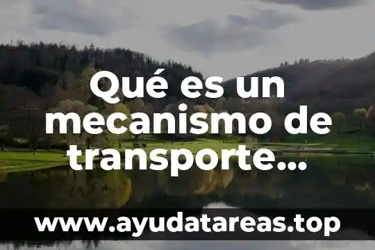 Qué es un mecanismo de transporte pasivo y ejemplos