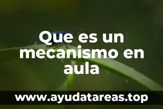Que es el mecanismo la idea 3 Que es un mecanismo en aula