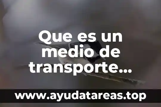 Que es un medio de transporte aereo