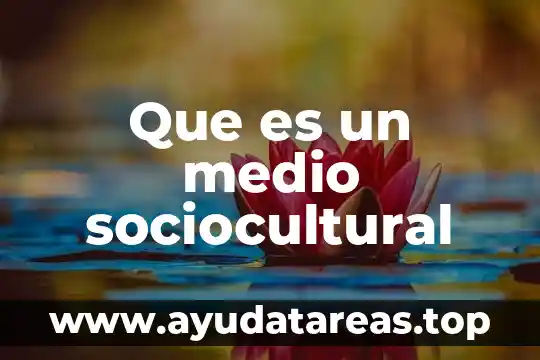 Que es un medio sociocultural