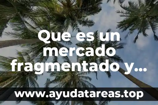 Que es un mercado fragmentado y concentrado