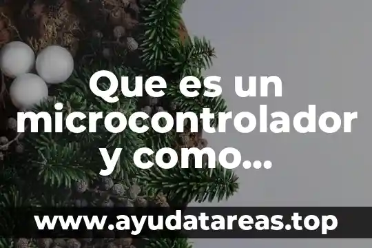 Que es un microcontrolador y como funciona