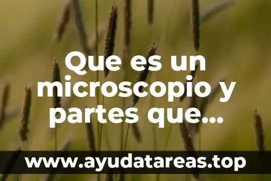 Proceso que es y los elementos que lo lo conforman 3 Que es un microscopio y partes que conforman