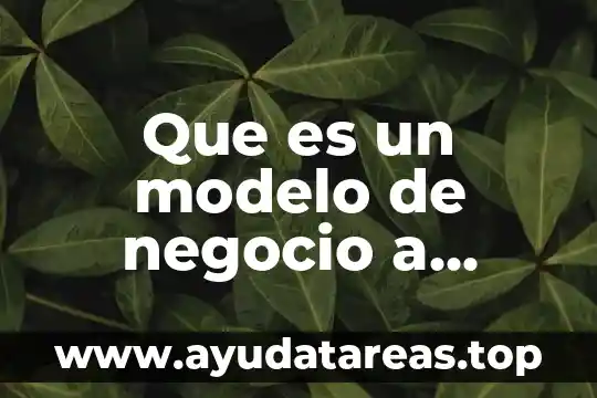 Que es el campo de negocio 5 Que es un modelo de negocio a traves de intenet