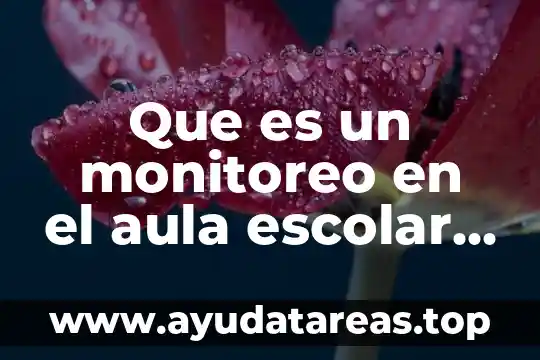 Que es un monitoreo en el aula escolar primaria