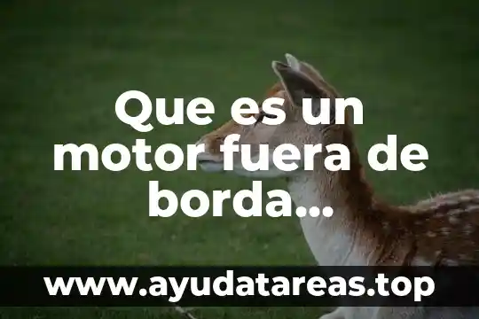 Que es un motor fuera de borda definicion