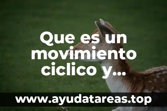 Que es el movimiento perpetuo del agua 8 Que es un movimiento ciclico y aciclico