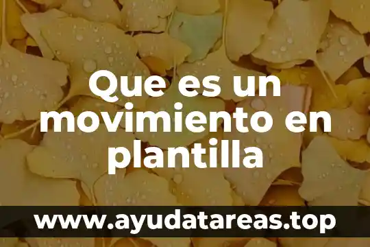 Que es un desarrollo de plantilla 4 Que es un movimiento en plantilla